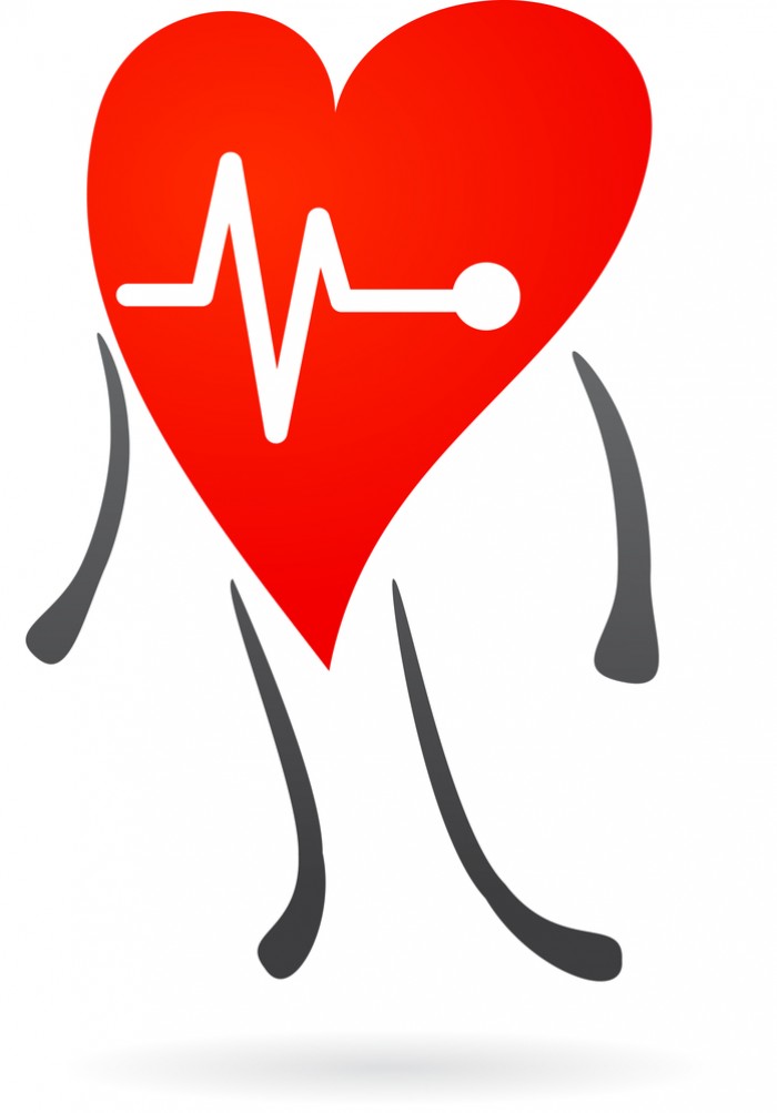Le coeur et la santé cardiaque