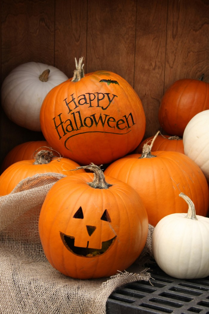 Pourquoi les seniors fêtent Halloween ? Quelle est l'origine d'Halloween ?
