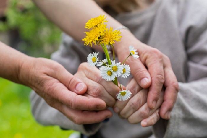 Découvrez les bienfaits des jardins sensoriels en ehpad !