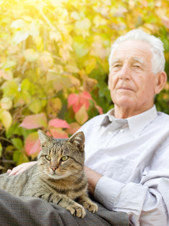 Alzheimer en ehpad : Le modèle hollandais !